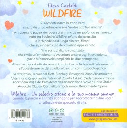 Wildfire — Libro - 2