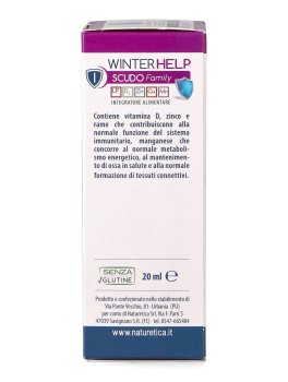 Winter Help Scudo Family - 4