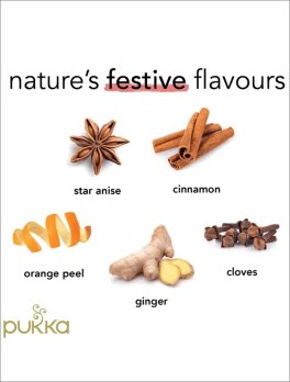 Winter Warmer - Tisana Pukka Bio - 5
