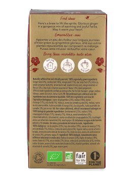Winter Warmer - Tisana Pukka Bio - 2