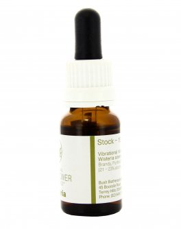 Wisteria - Essenza Floreale Australiana Singola - 4