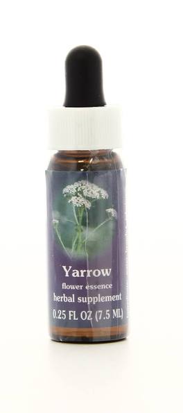 Yarrow - Fiori californiani - 1