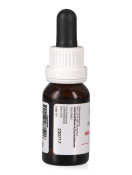 Yellow Cowslip Orchid - Essenza Floreale Australiana Singola - 3