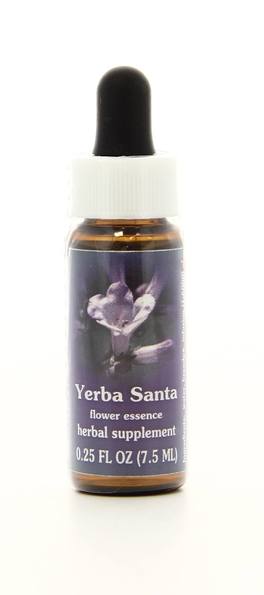 Yerba Santa - Fiori californiani - 1