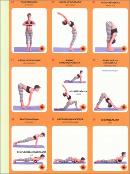 Yoga Organizer — Libro - 3