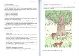 Yoga per Adolescenti — Libro - 3