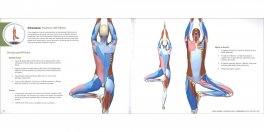 Yoga Terapeutico — Libro - 3