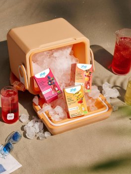 YOGI TEA® - Infuso "Cold Brew" Fragola e Arancia Bio - 5