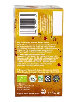 YOGI TEA® - Infuso Pumpkin Chai - 2