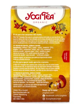 YOGI TEA® - Infuso Pumpkin Chai - 3