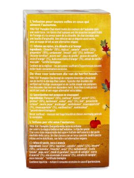 YOGI TEA® - Infuso Pumpkin Chai - 4