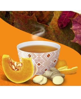 YOGI TEA® - Infuso Pumpkin Chai - 6