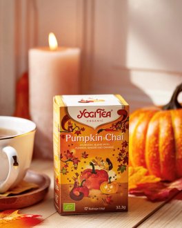 YOGI TEA® - Infuso Pumpkin Chai - 7