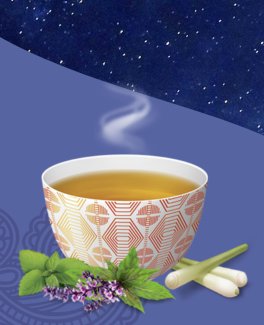 YOGI TEA® - Star Salutation - 4