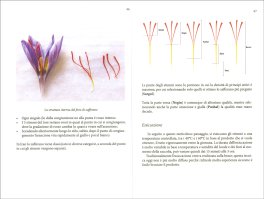 Zafferano - La Spezia degli Dei — Libro - 3