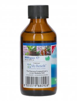 Zen Mint Spirit Oil - 3