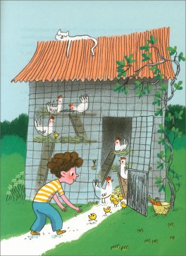 Zeno e Grigio — Libro - 3