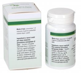 Zenzero - Capsule - 3