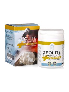 Zeolite Clinoptilolite Attivata in Polvere - 2