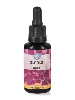 Zinnia - Fiori californiani - Dose - 1