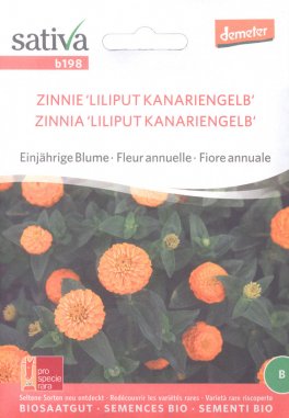 Semi di Zinnia Liliput Kanariengelb - 1
