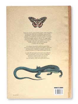 Zoologia Illustrata — Libro - 4