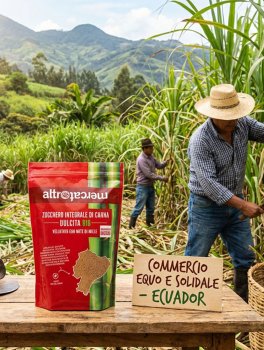 Zucchero Integrale di Canna Ecuador Dulcita Bio - 3