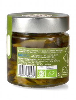 Zucchine Ghiotte Bio - 3