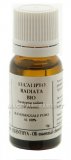 Eucalipto Radiata Bio - Olio Essenziale Puro - 10 ml