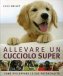 Immagine prodotto