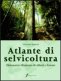 Immagine prodotto