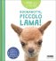 Immagine prodotto