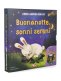 Immagine prodotto