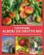 Immagine prodotto