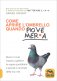 Immagine prodotto