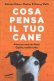 Immagine prodotto