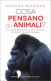 Immagine prodotto