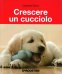 Immagine prodotto
