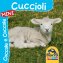 Immagine prodotto
