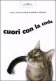 Immagine prodotto