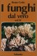 Immagine prodotto