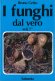 Immagine prodotto