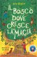 Immagine prodotto