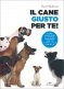 Immagine prodotto