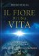 Immagine prodotto