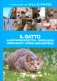 Immagine prodotto