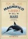 Immagine prodotto