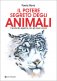 Immagine prodotto