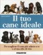 Immagine prodotto