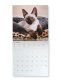 Immagine prodotto